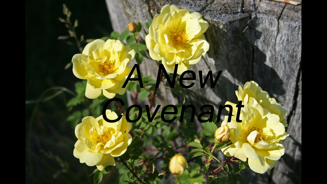 The Covenant Sealed With The Blood Of Christ