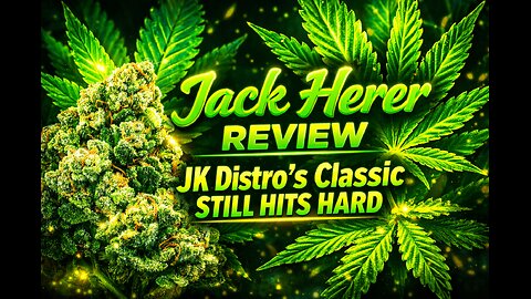 Jack Herer Review | JK Distro’s Classic Still Hits Hard