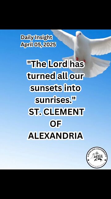 Daily Insight April 05, 2025