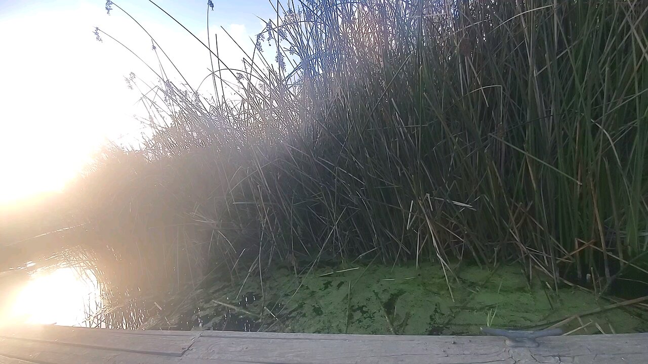 Sunset at Discovery Lake