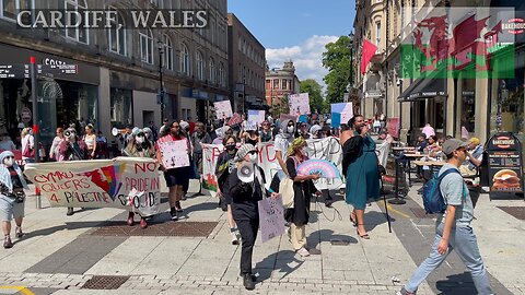 Feeder March For NAKBA 77, Cardiff City Centre Wales