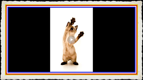 TRUMP'S MISSION GENESIS