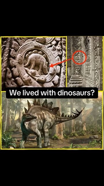 Did We Live With Dinosaurs?