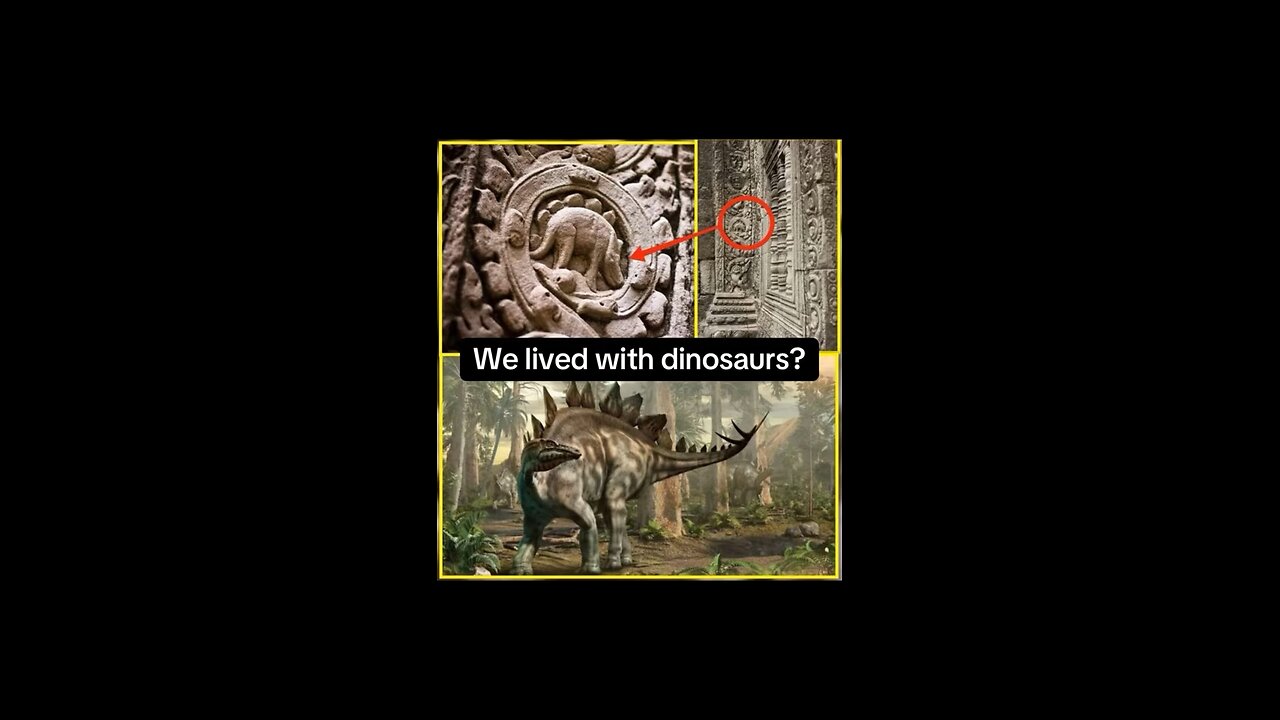 Did We Live With Dinosaurs?