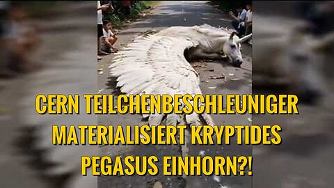 In diesen Tagen gab es einen merkwürdigen Vorfall