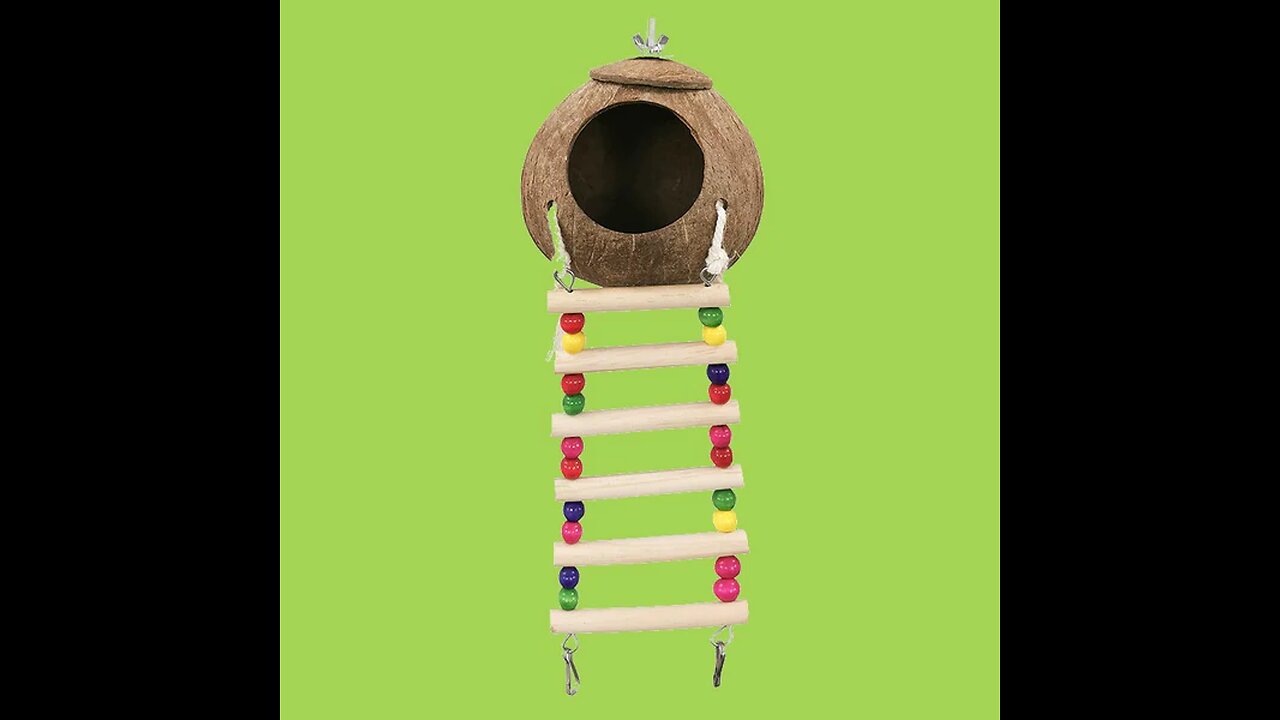 Coconut Shell Bird Nest with Wood Ladders, for Parrot, Budgies, Parakeet, Canary, Finch, Hamster Rat