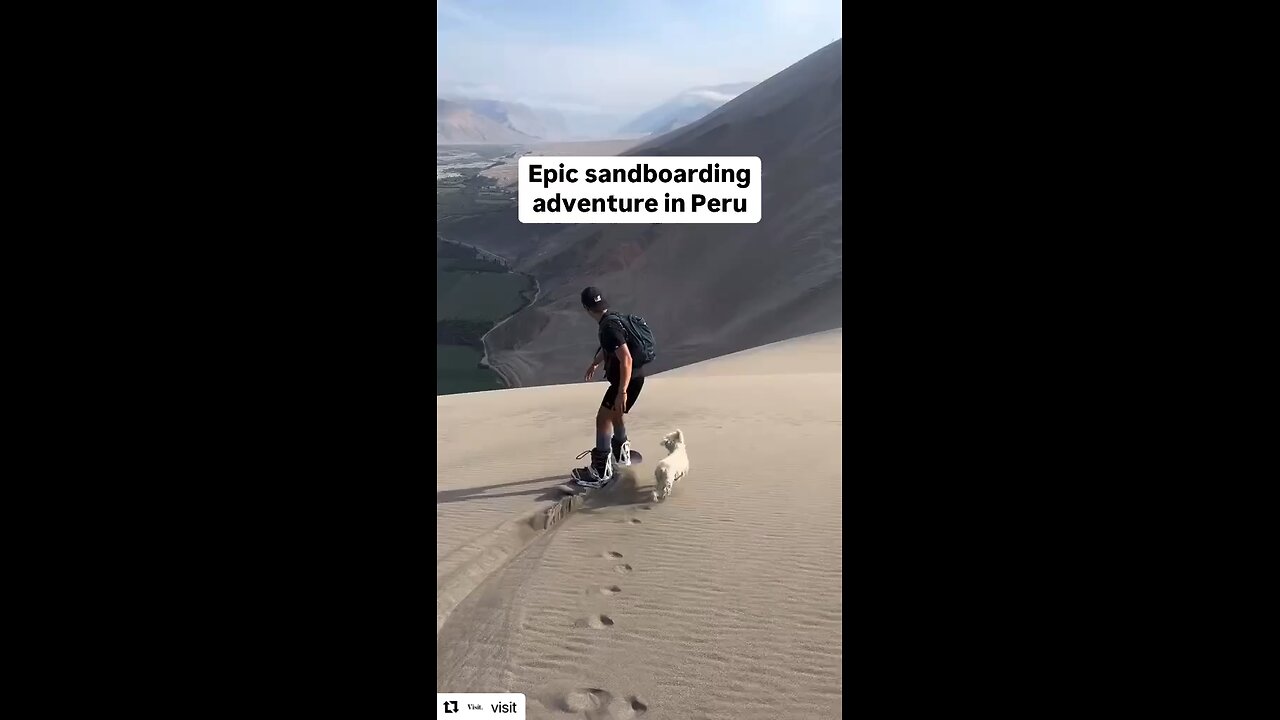 DOG FUN. PERU. Original contentent by @visit 5-10-25