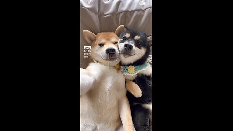 We love selfies 😍