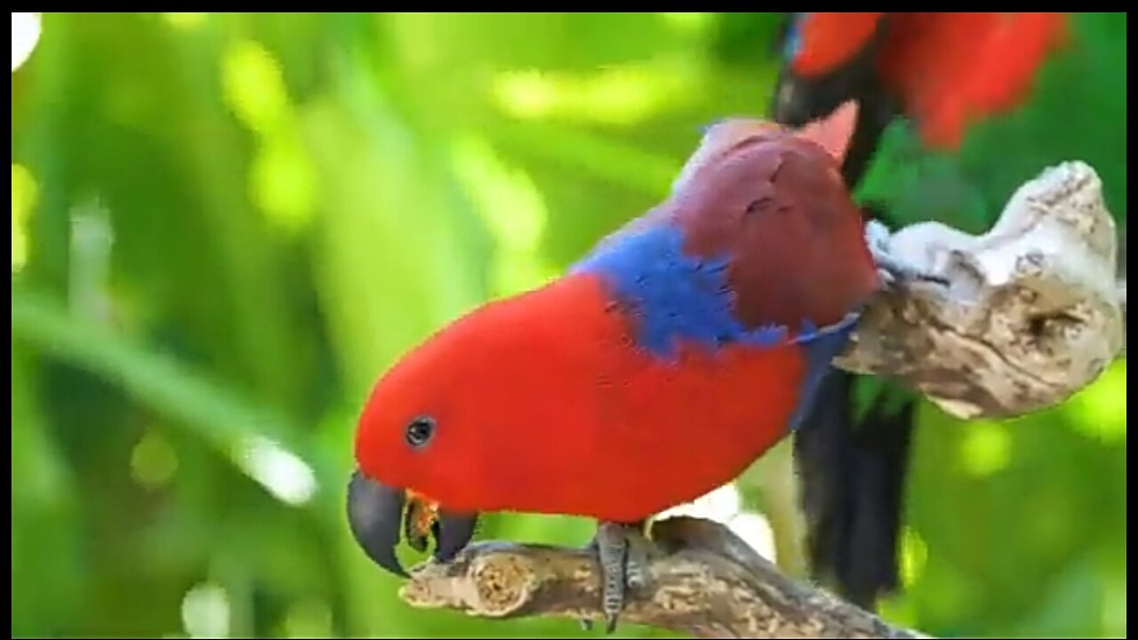 A SPECIAL PEOPLE - DAILY DEVOTIONAL ❤️