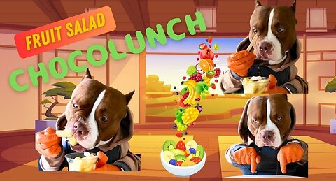 Bully Eats Fruit Salad with Human Hands _ Funny Dog Video