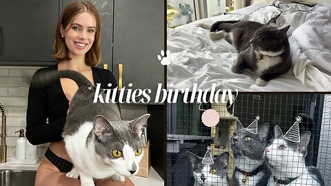 Celebrating my Cats Birthdays!