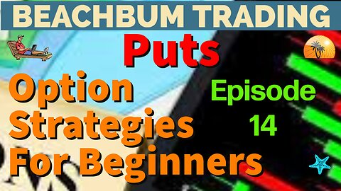 Option Strategies For Beginners With Examples | Episode #14 | Puts
