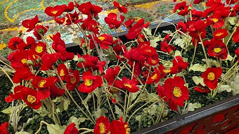 Red flowers