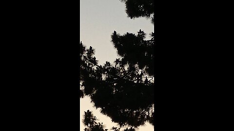 drac plane and fake moon