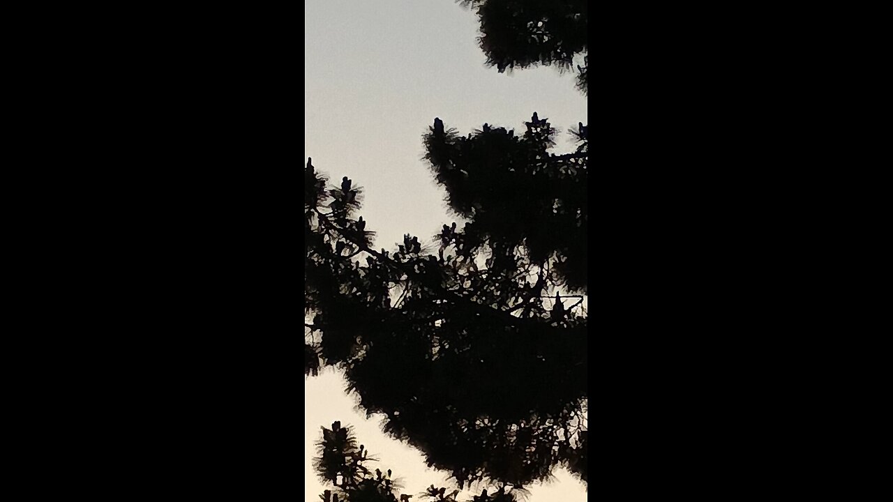 drac plane and fake moon