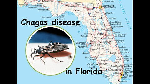Florida: Conditions exist for indigenous T. cruzi transmission, according to study