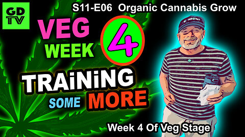 S11-E06 - Day 22 of Veg – More Training Cannabis Step By Step – PAR Diet For The Big Girls