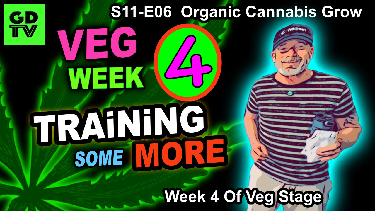 S11-E06 - Day 22 of Veg – More Training Cannabis Step By Step – PAR Diet For The Big Girls