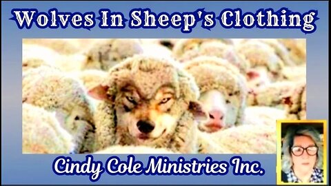 Wolves In Sheep's Clothing