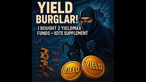 I bought YieldMax 2 funds XDTE Supplement