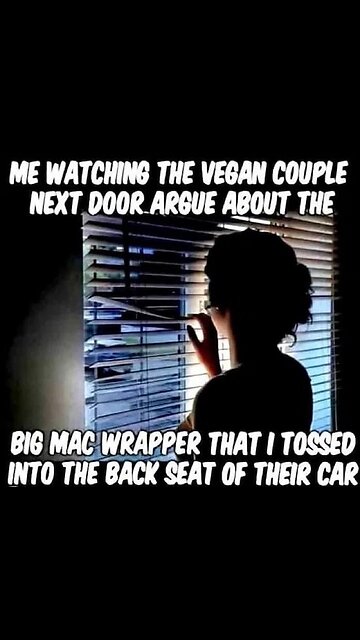 G'night fam. How bout a good old cat fight. 🤣🤣🤣