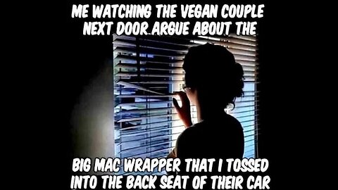 G'night fam. How bout a good old cat fight. 🤣🤣🤣