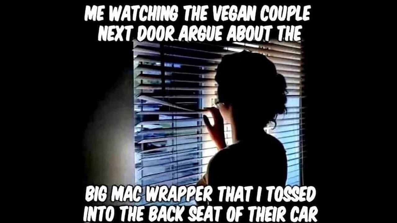 G'night fam. How bout a good old cat fight. 🤣🤣🤣