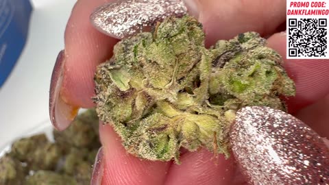 Apple Fritter: This Is What Premium Bud Should Taste & Feel Like! Dankin With The Flamingos Review!!
