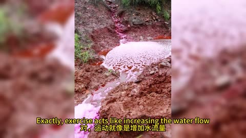 腦部蛋白質 逆轉衰老影響