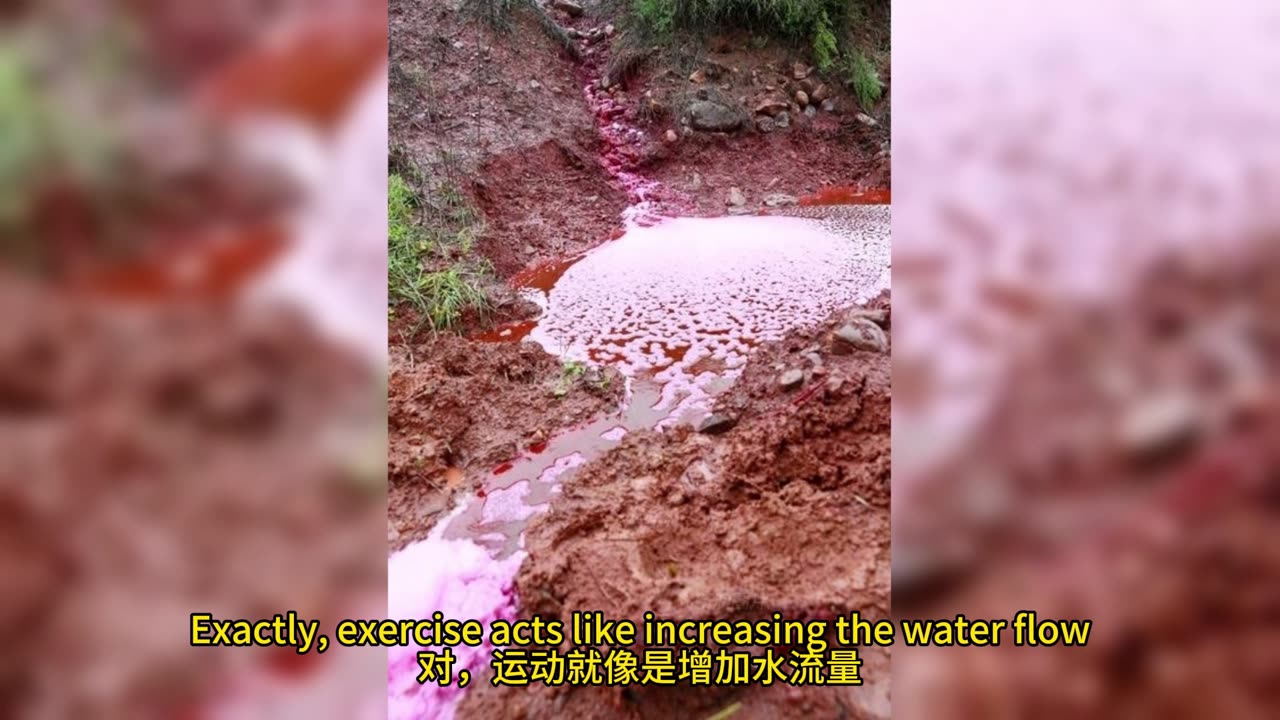 腦部蛋白質 逆轉衰老影響
