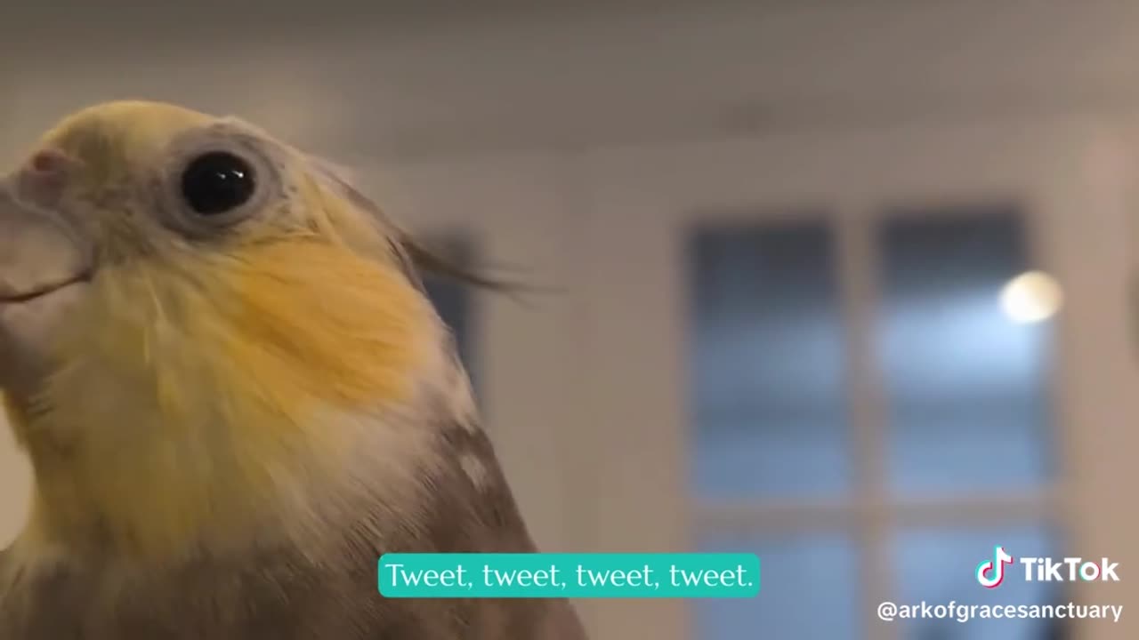 Good morning from Esther, Chet and Missy!