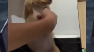 Tickle tickle