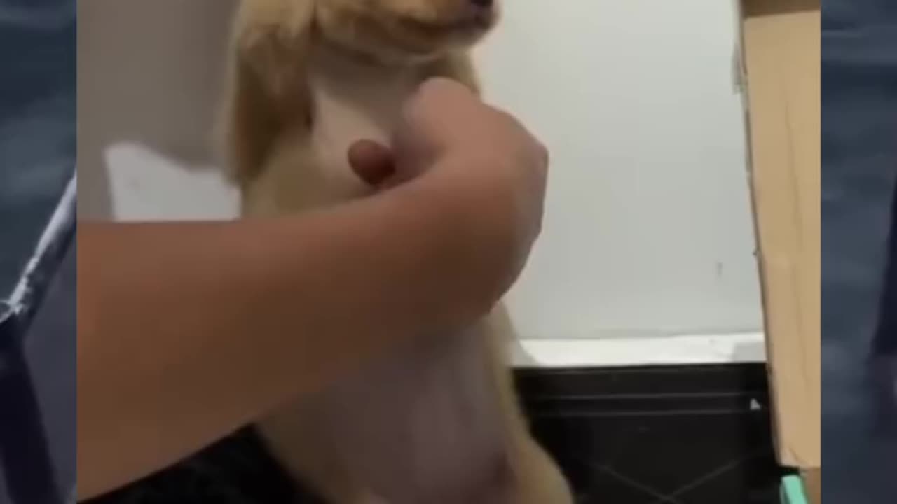 Tickle tickle