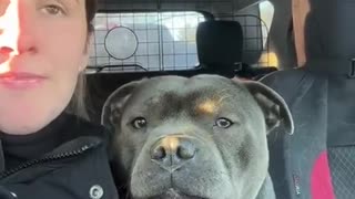 😂🐶 This Talking Dog Will Make Your Day! | FunFM