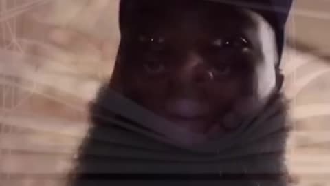 Delulu Holly Pulls up on Citizens