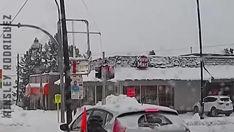 Wild Close-Calls