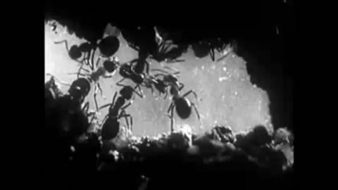 Scary Stories Not To Tell In The Dark 3