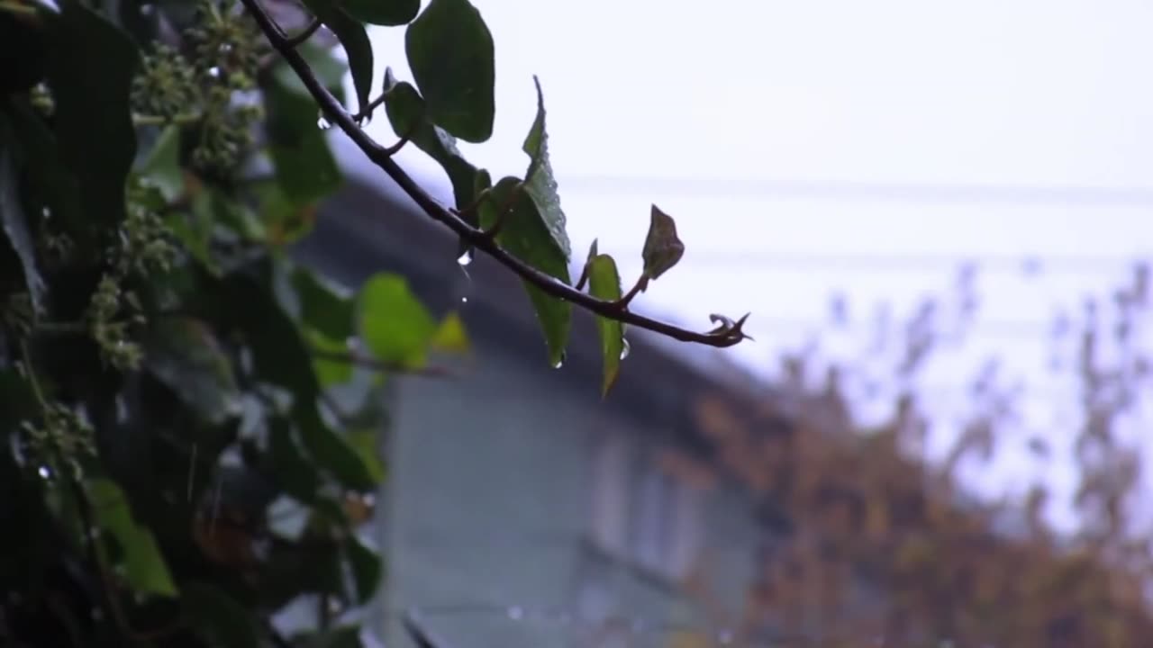 RAIN ON THE TERRACE OF THE HOUSE