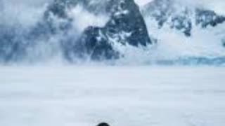 The Nihilist Penguin Found Dead