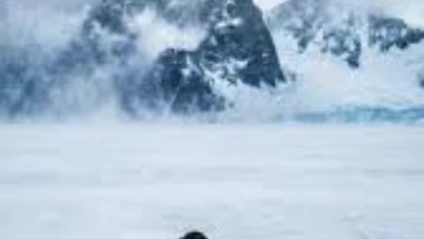 The Nihilist Penguin Found Dead