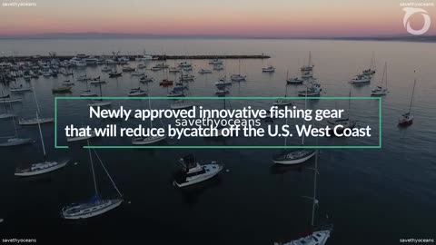 2023 A Year In Review Oceana