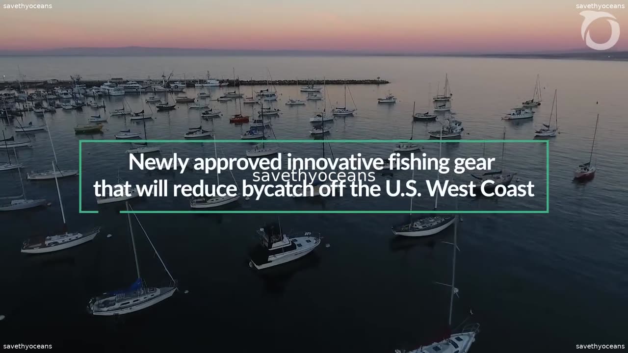 2023 A Year In Review Oceana
