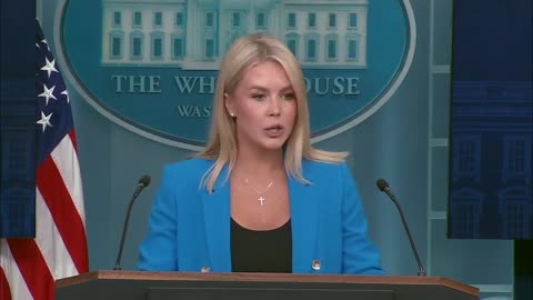 Press Sec Karoline Leavitt: 330 Illegal Aliens arrested as part of L.A. riots
