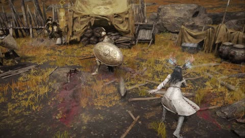Tarnished Causing Mayhem in the Lands Between