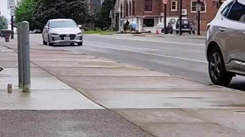 WHEN IT SMELLS LIKE FISH