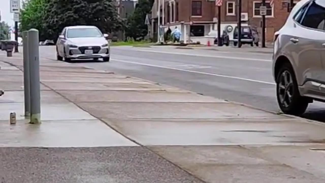 WHEN IT SMELLS LIKE FISH