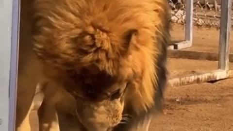😂🤢 You Won't Believe What They Tried to Eat! | FunFM