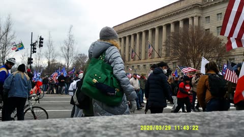 n search of insurrection