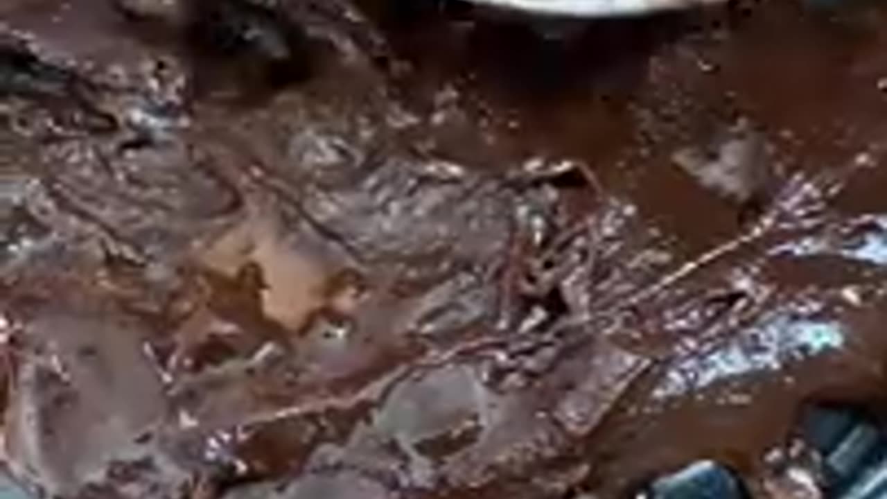 Looks like yummy dirt