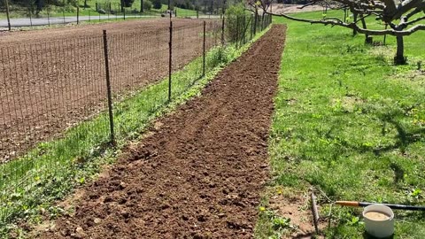 April '25 Garden Update